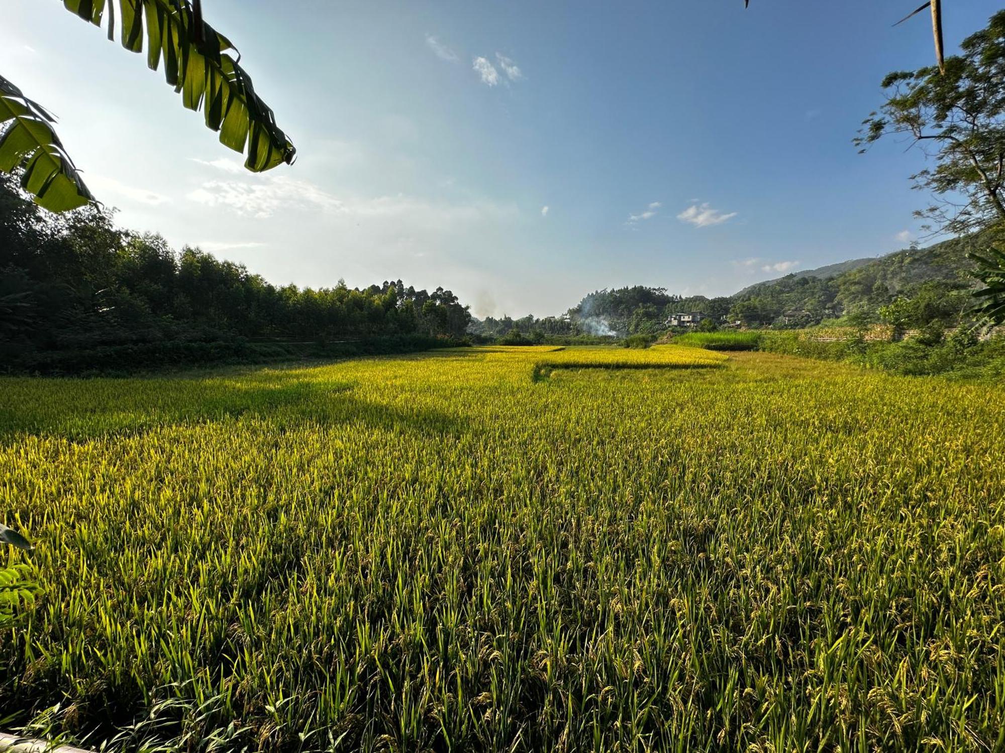 Vulinh Family -Homestay Yen Binh Exteriér fotografie