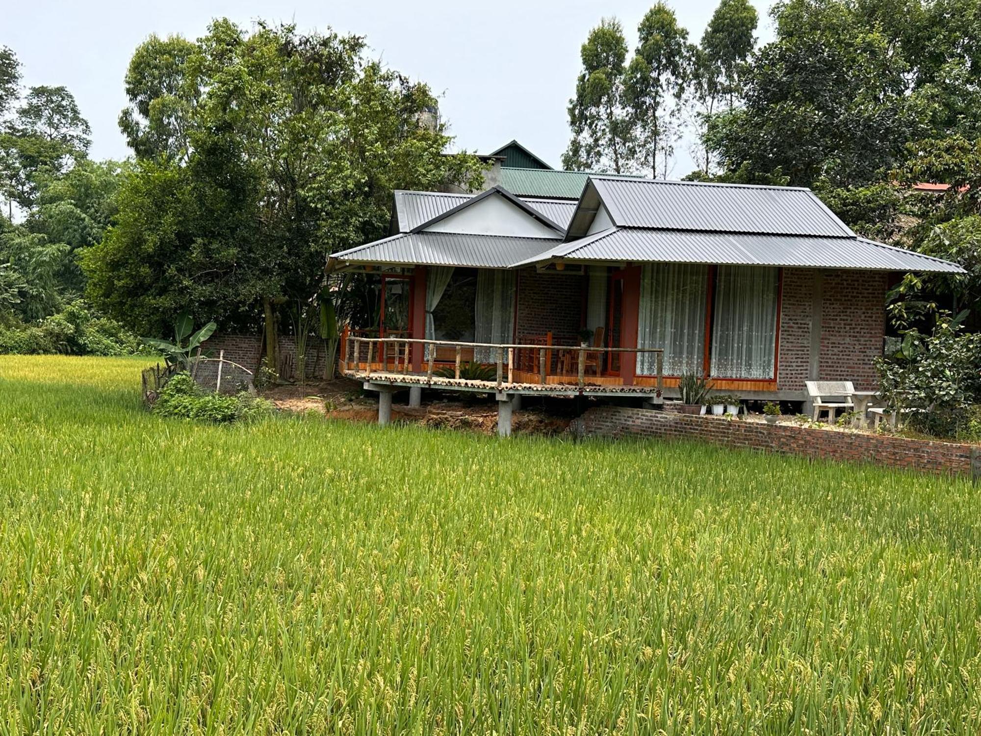 Vulinh Family -Homestay Yen Binh Exteriér fotografie
