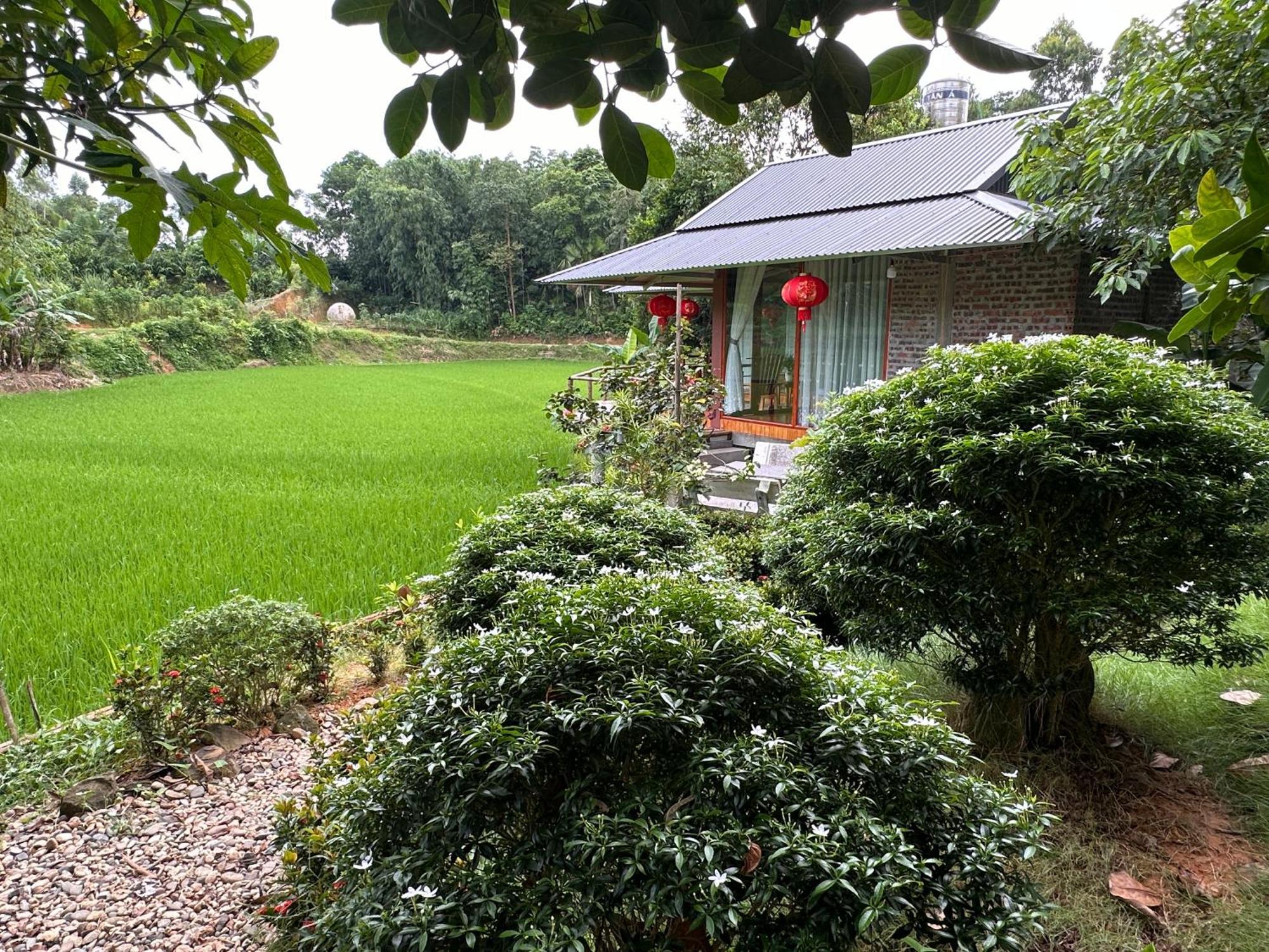 Vulinh Family -Homestay Yen Binh Exteriér fotografie