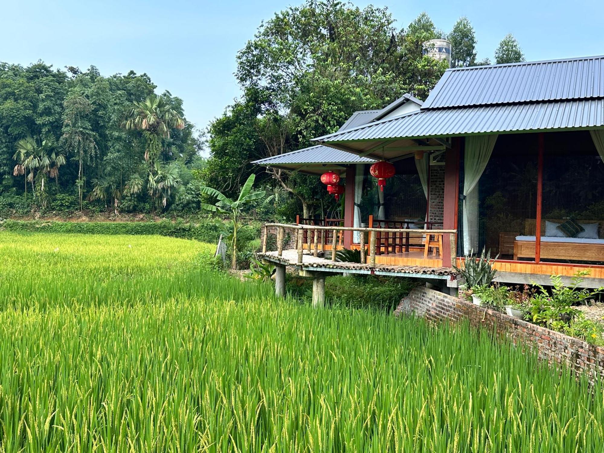 Vulinh Family -Homestay Yen Binh Exteriér fotografie